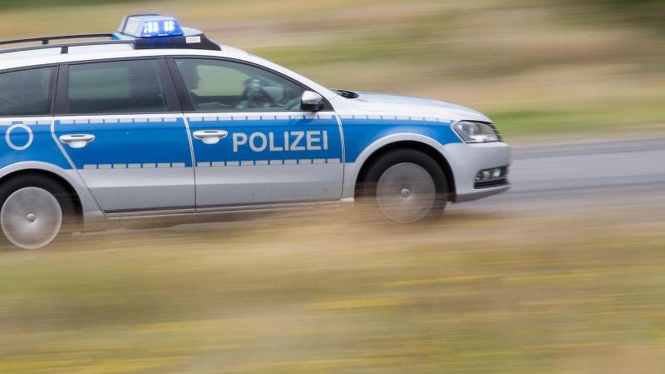 Tiere: Steinmarder mit Stahlseil-Falle getötet: Polizei ...