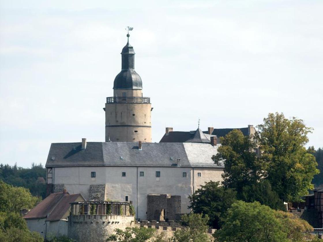 Freizeit: Burg Falkenstein geöffnet: Falknerei und Showvorführung | ZEIT  ONLINE