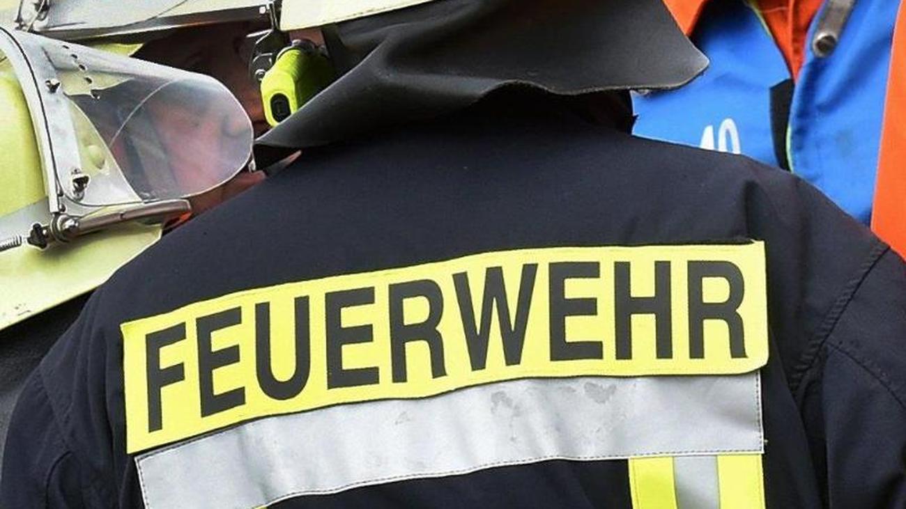 Partnersuche kreis ludwigsburg