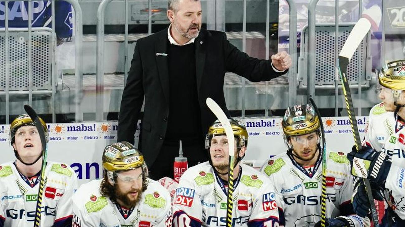 Playoff Eishockey 2021 Playoff Eishockey 2021