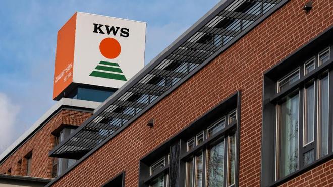 Wirtschaft: KWS Saat profitiert von Frhjahrsschub | DIE ZEIT