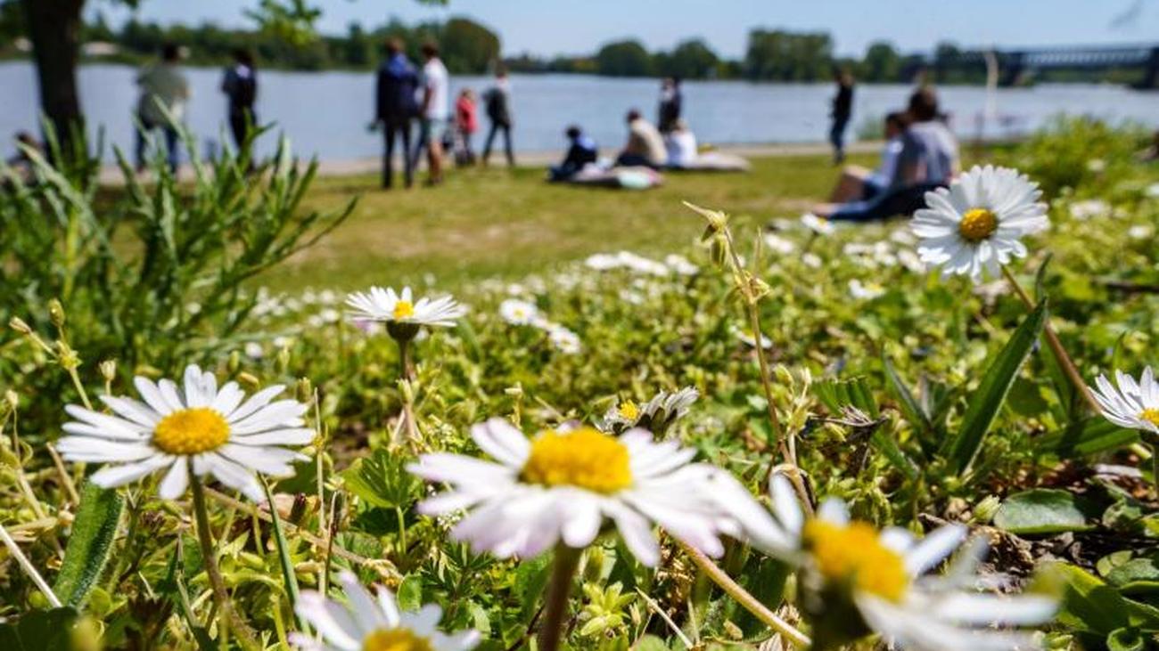 Partnersuche rheinland pfalz
