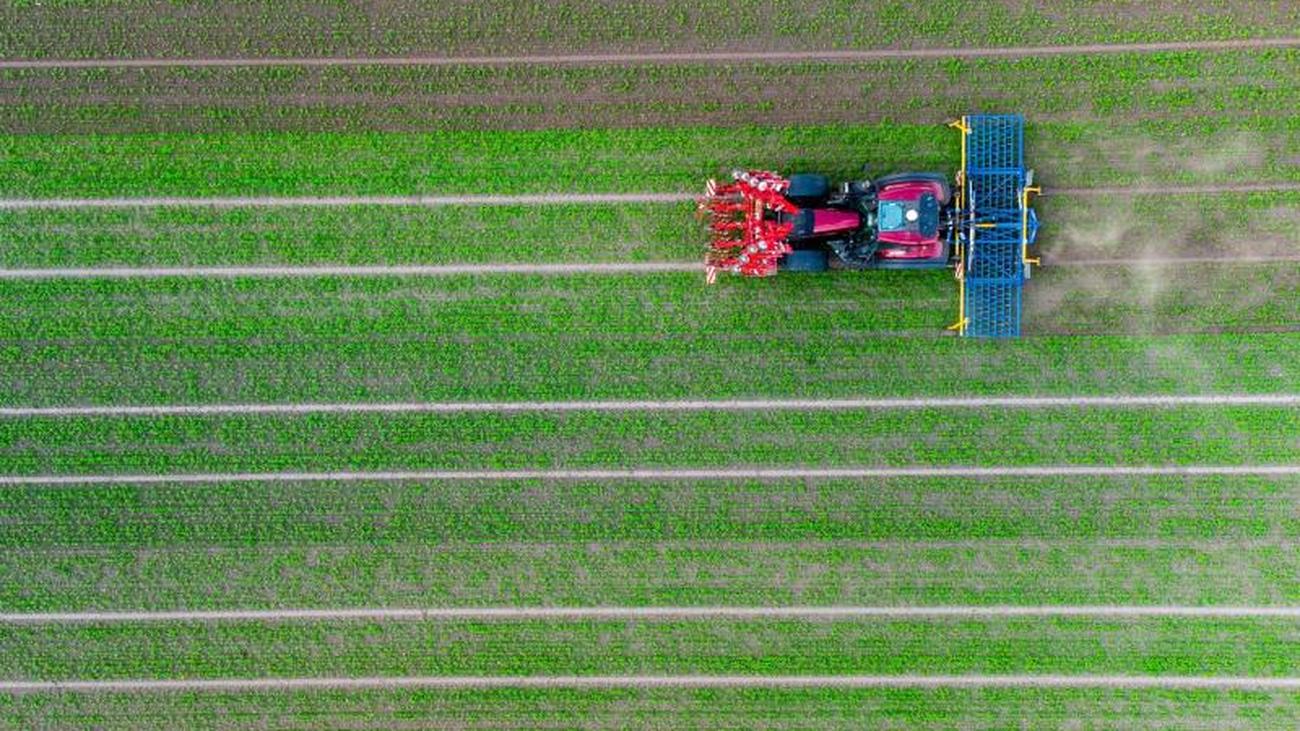 Agrar: 40 Millionen Euro für Umweltschutz in der Landwirtschaft | ZEIT