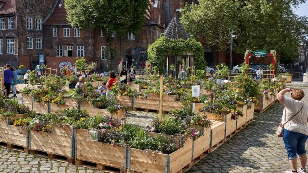 Kommunen 150 Hochbeete verwandeln Platz in Lübeck in grünes Labyrith