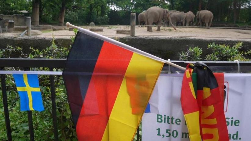 Fußball: Yashoda prophezeit Unentschieden im Spiel ...