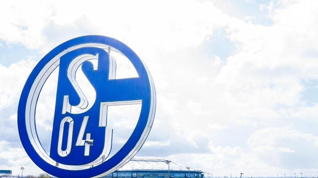 Магдебург шальке 04. Шальке 04 логотип. Линкольн Шальке. Schalke 04 logo.