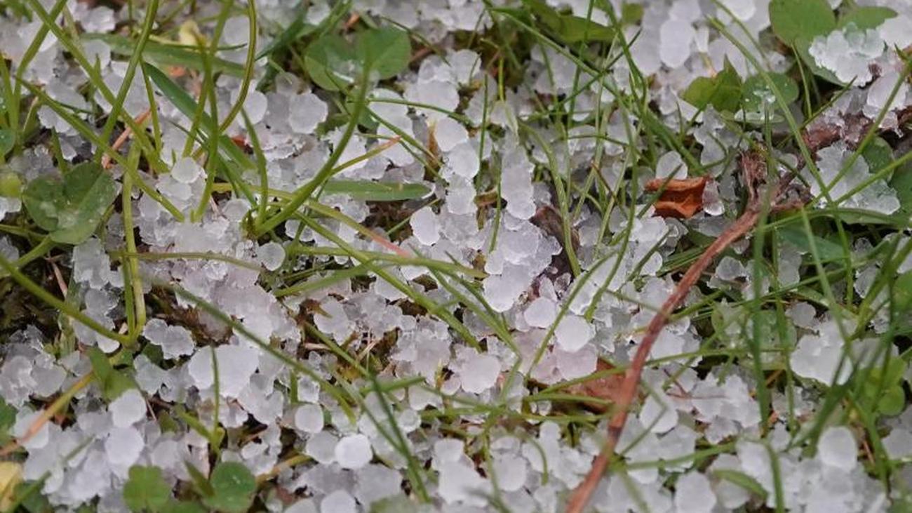 Unwetter: Versicherer Fürchten Wachsende Hagelkörner | ZEIT ONLINE