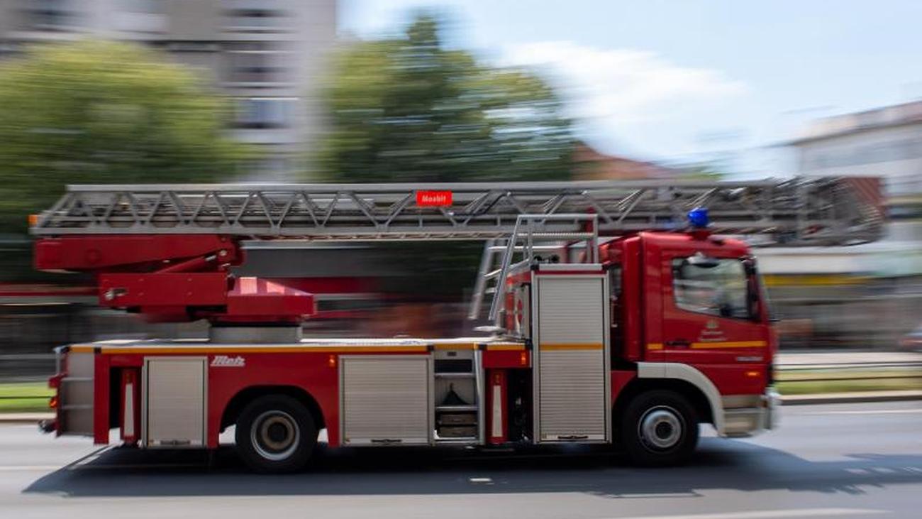 Partnersuche kreis ludwigsburg