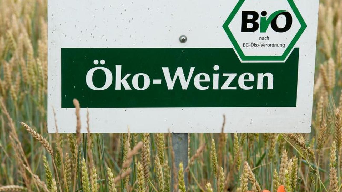 Öko partnersuche