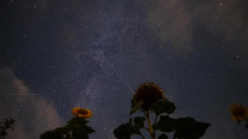 Nächtliches Spektakel: Hunderte von Perseiden am Himmel ...