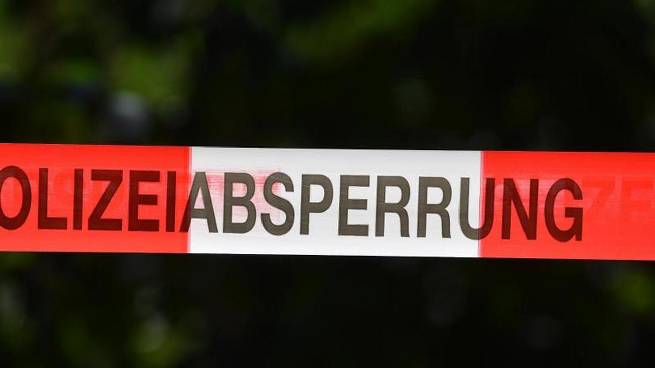 Partnersuche hollfeld