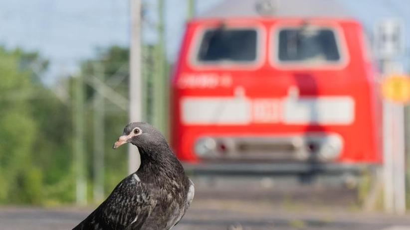 Bahn Lokführer protestieren in Berlin Weiterer Streik