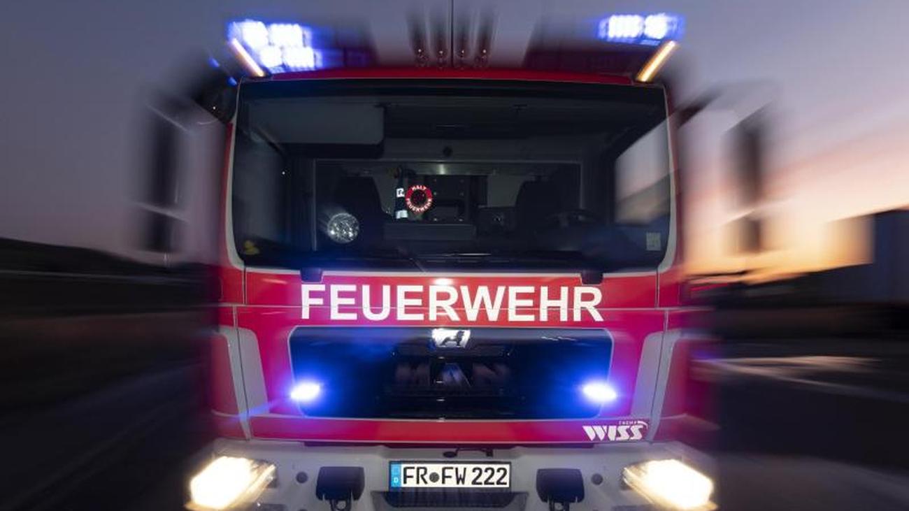 Partnersuche zeitz