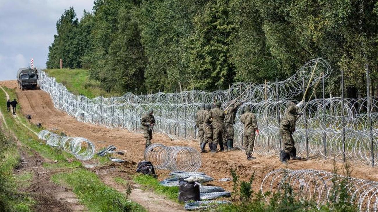 Забор на границе Польши и Белоруссии