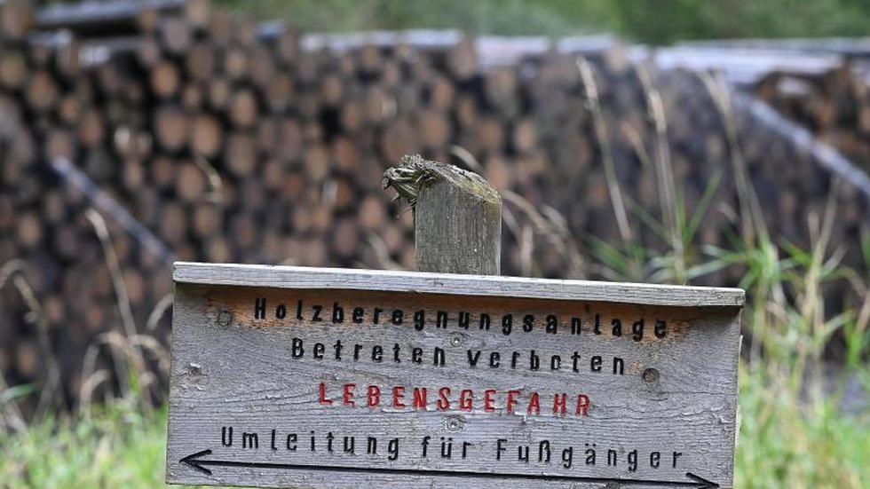 Natur Forst mter Weisen Auf Besch digte Wanderwege Im Harz Hin ZEIT 