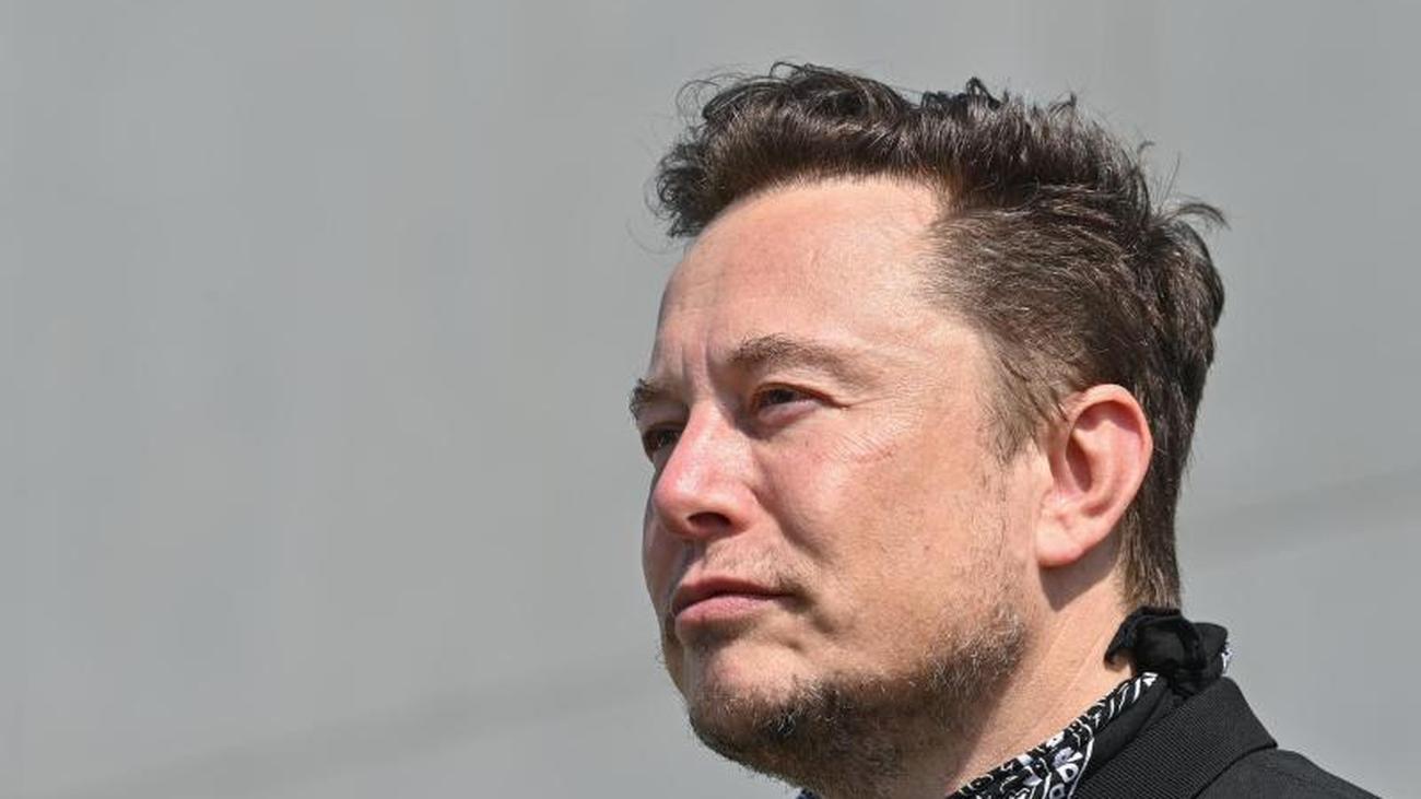 Reichster Mann der Welt Musk lässt auf Twitter über Tesla