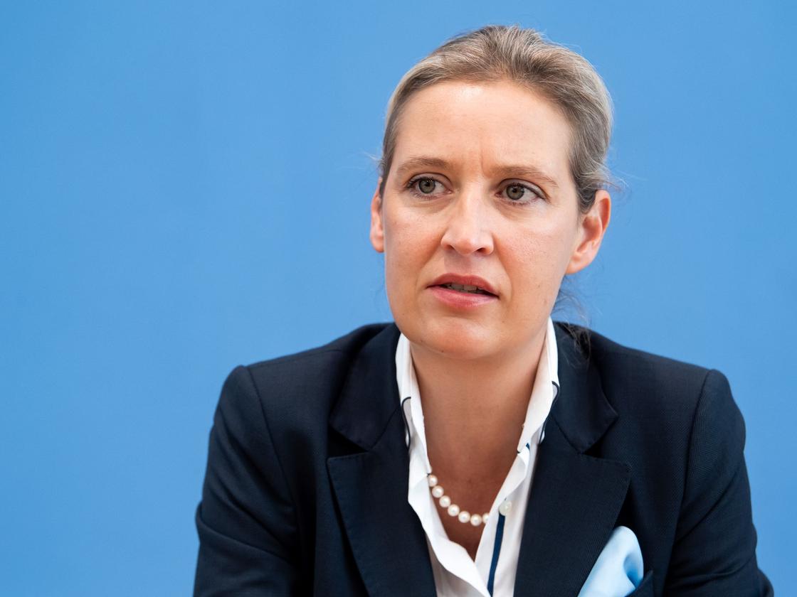 Alternative f&uuml;r Deutschland: Weidel verurteilt Angriff - und ...