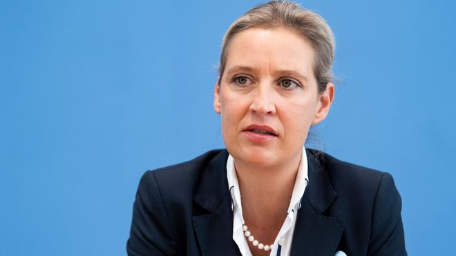 Alternative für Deutschland: Weidel verurteilt Angriff - und kritisiert den  Westen | DIE ZEIT