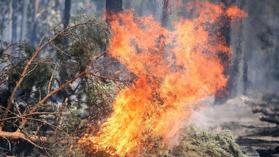 Wittenberg Neue Waldbrandzentrale für SachsenAnhalt in Annaburg