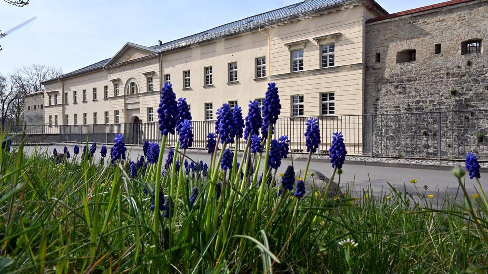 Erfurt Deutsches Gartenbaumuseum sieht sich als TrendHaus ZEIT ONLINE