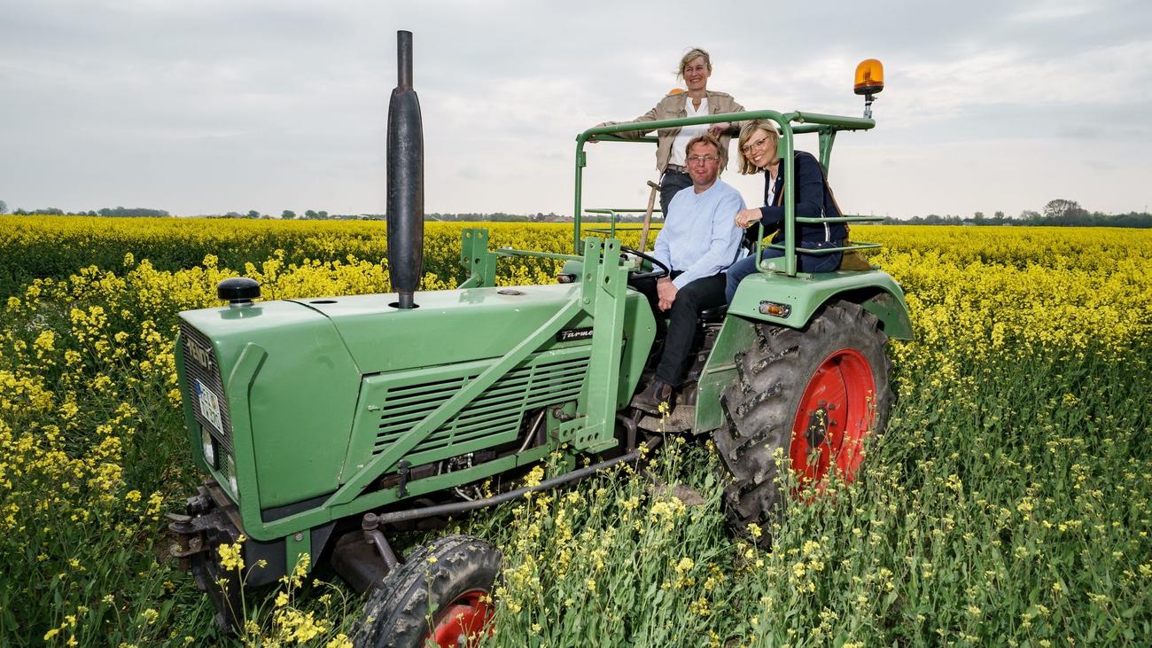 Landwirtschaft: Deutlich mehr Rapsfelder in Schleswig-Holstein | ZEIT