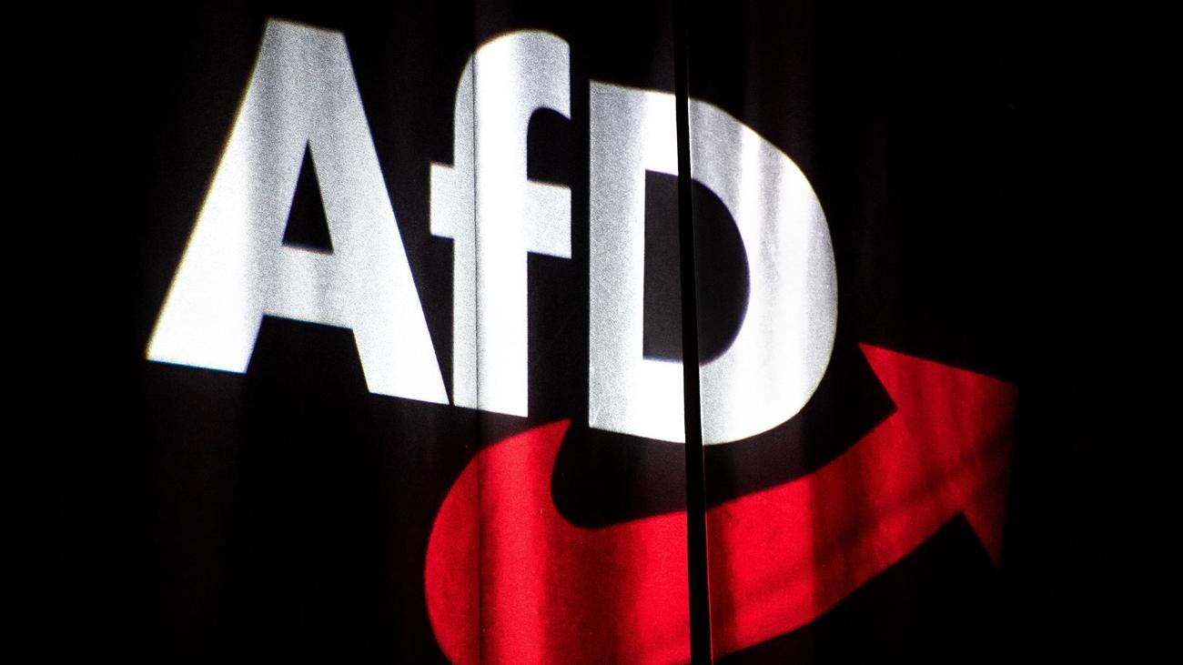 Parteien: AfD Wählt Neue Parteispitze | ZEIT ONLINE