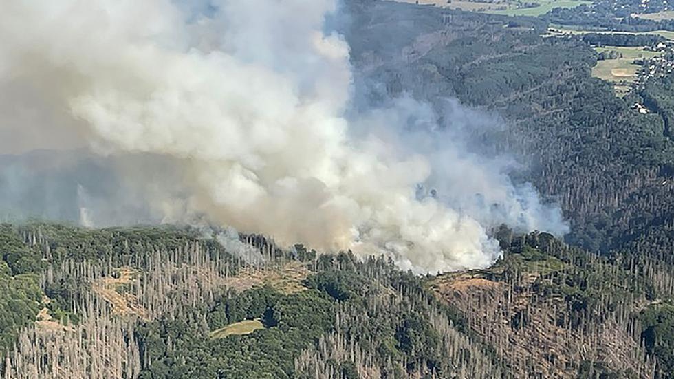 Waldbrand Sächsische Schweiz