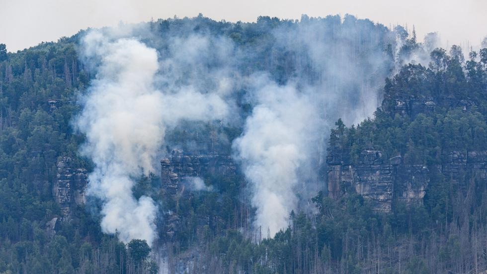 Waldbrand Sächsische Schweiz