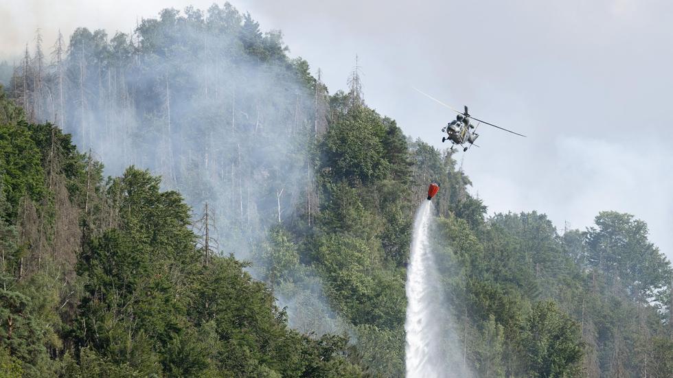 Waldbrand Sächsische Schweiz