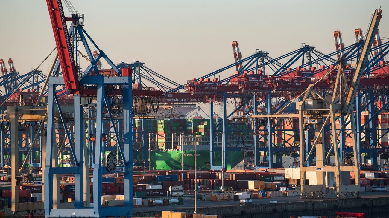 Schifffahrt HHLA verdient wegen lagernder Container weiter gut ZEIT