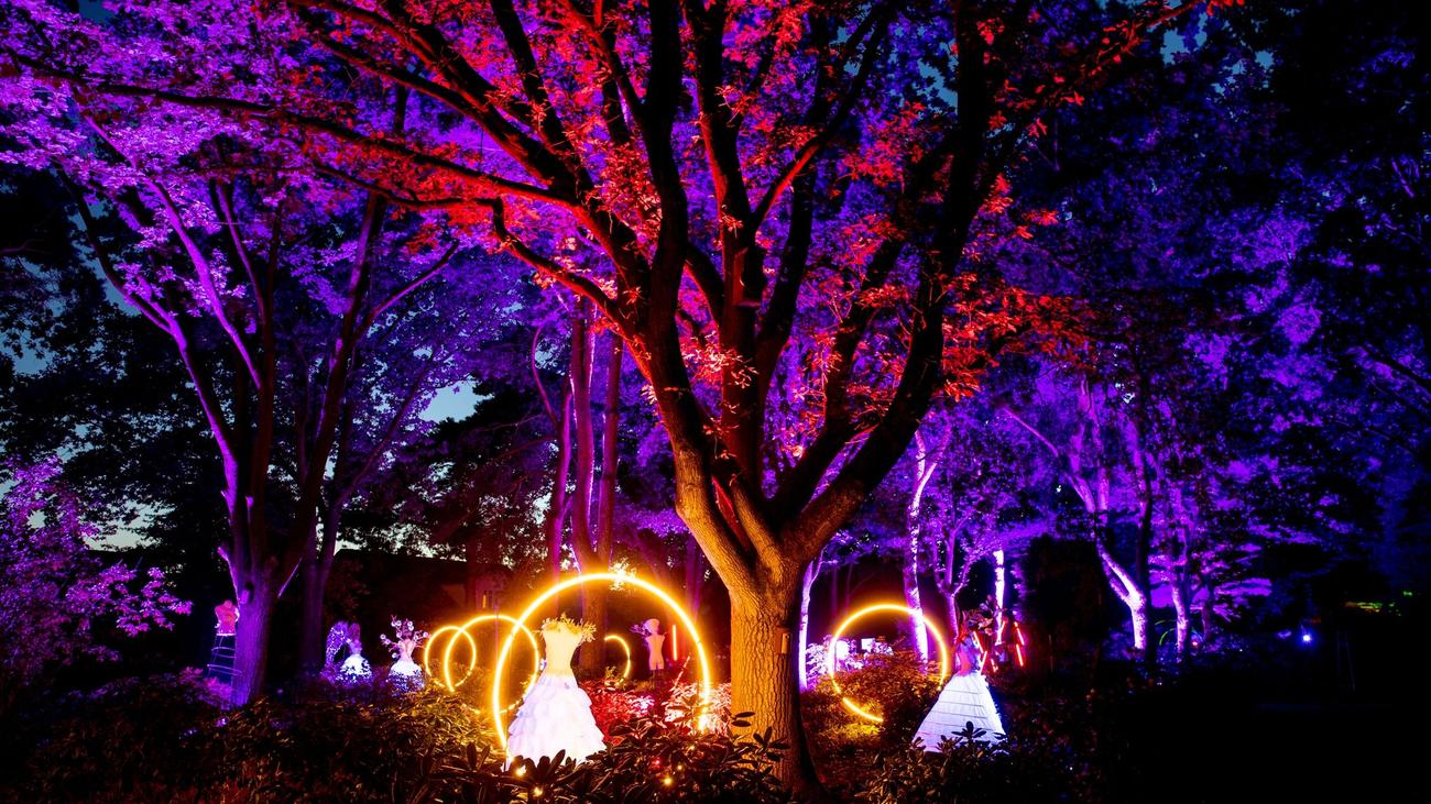 Kunst Lange Abende und LEDs Lichtkunst erleuchtet Park der Gärten