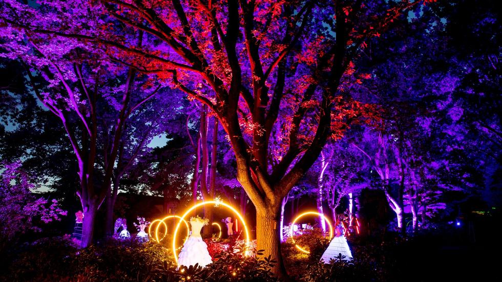 Kunst Lange Abende und LEDs Lichtkunst erleuchtet Park der Gärten