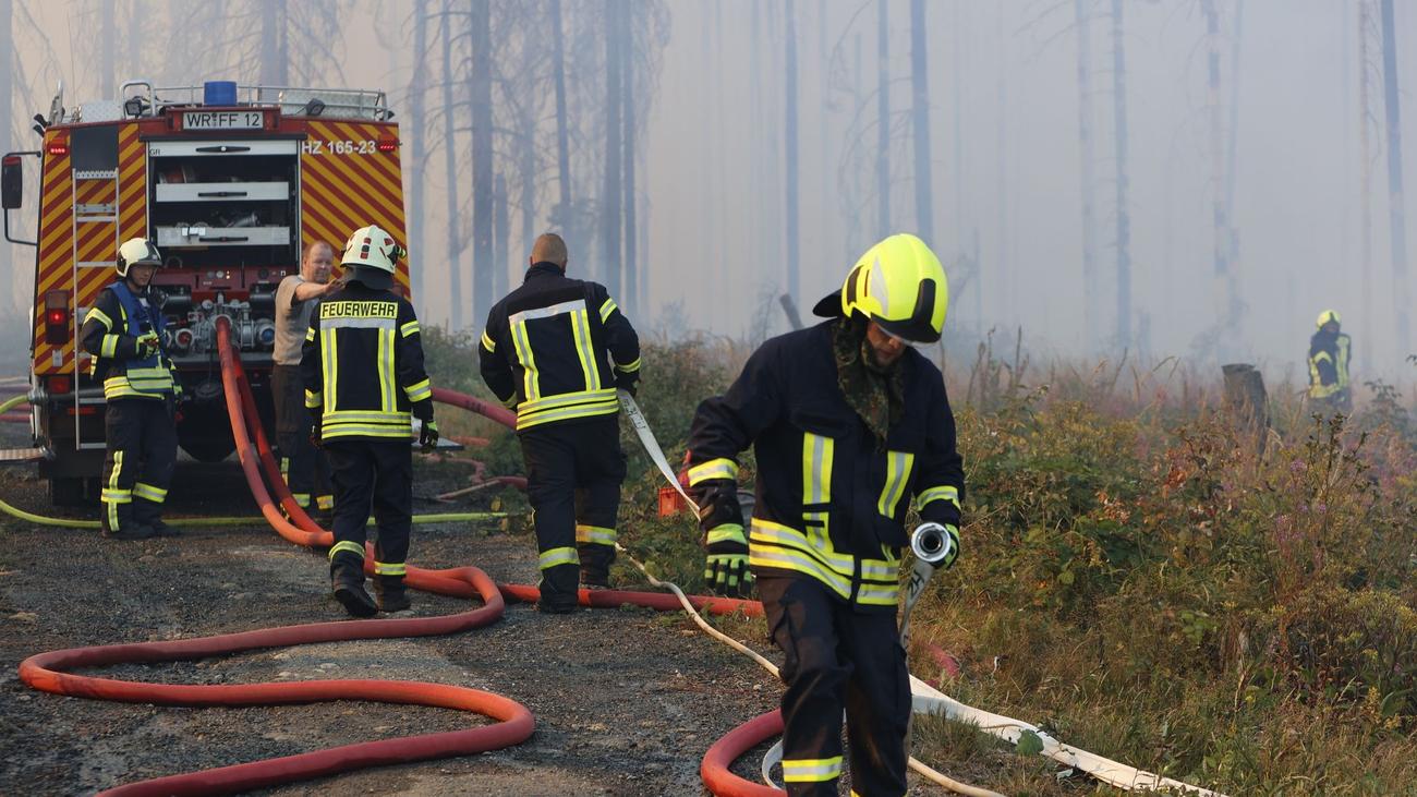 Brände: Waldbrand im Harz vorerst unter Kontrolle | ZEIT ONLINE