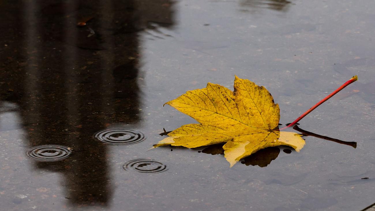 Wetter: Rheinland-Pfalz, Saarland: Ungemütliches Herbstwetter | ZEIT ONLINE