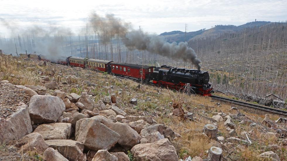 Energiekrise: Harzer Schmalspurbahnen leiden unter gestiegenem Kohle ...