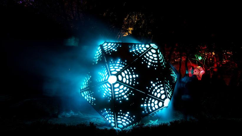 Ausstellung: Lichtkunst im Japanischen Garten im Planten un Blomen | DIE  ZEIT