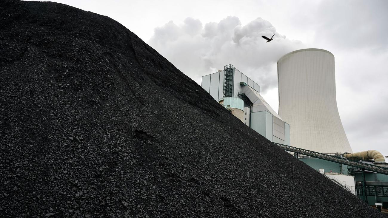 Energiekonzern: Steag-Verkauf geht in heiße Phase | DIE ZEIT