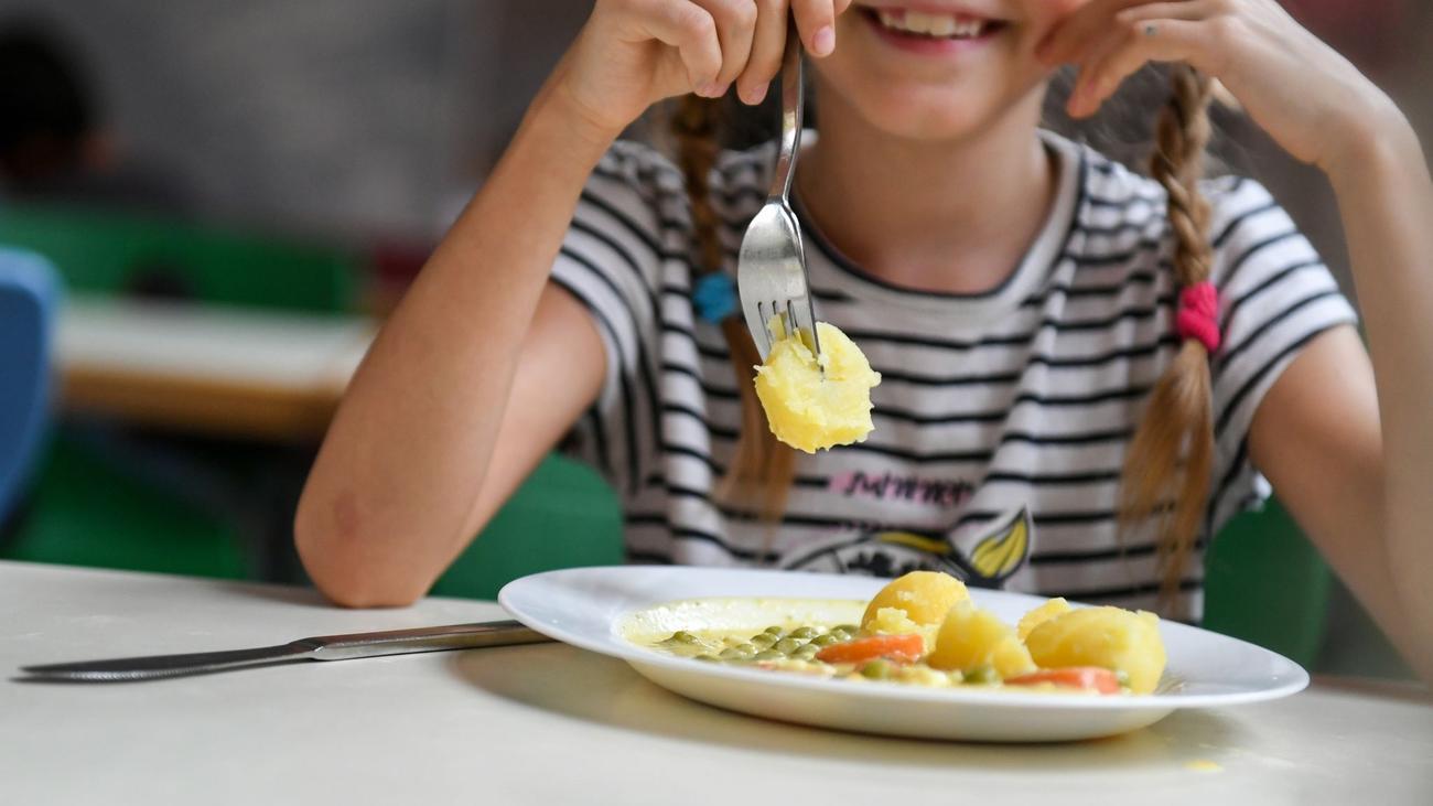 Landesregierung: Rot-Grün will mehr Bio-Essen in den Schulen | DIE ZEIT