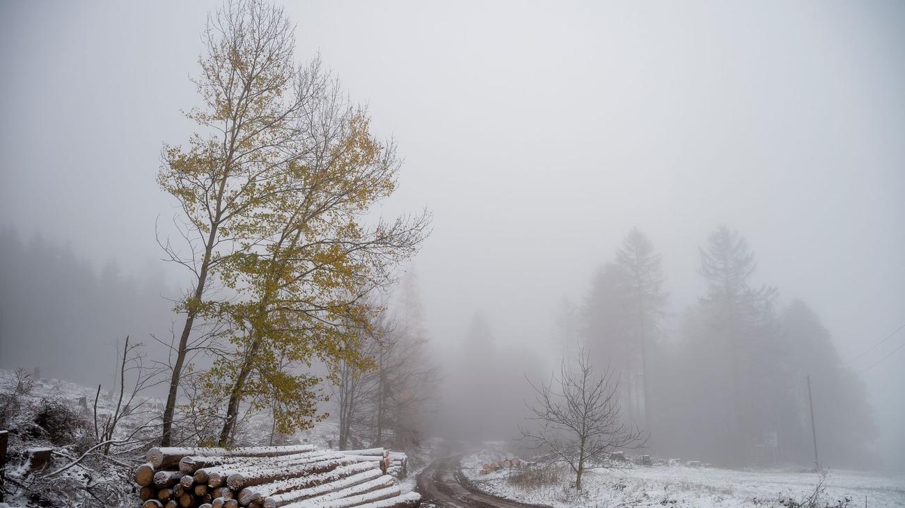 Wetter Wintereinbruch glimpflich verlaufen ZEIT ONLINE