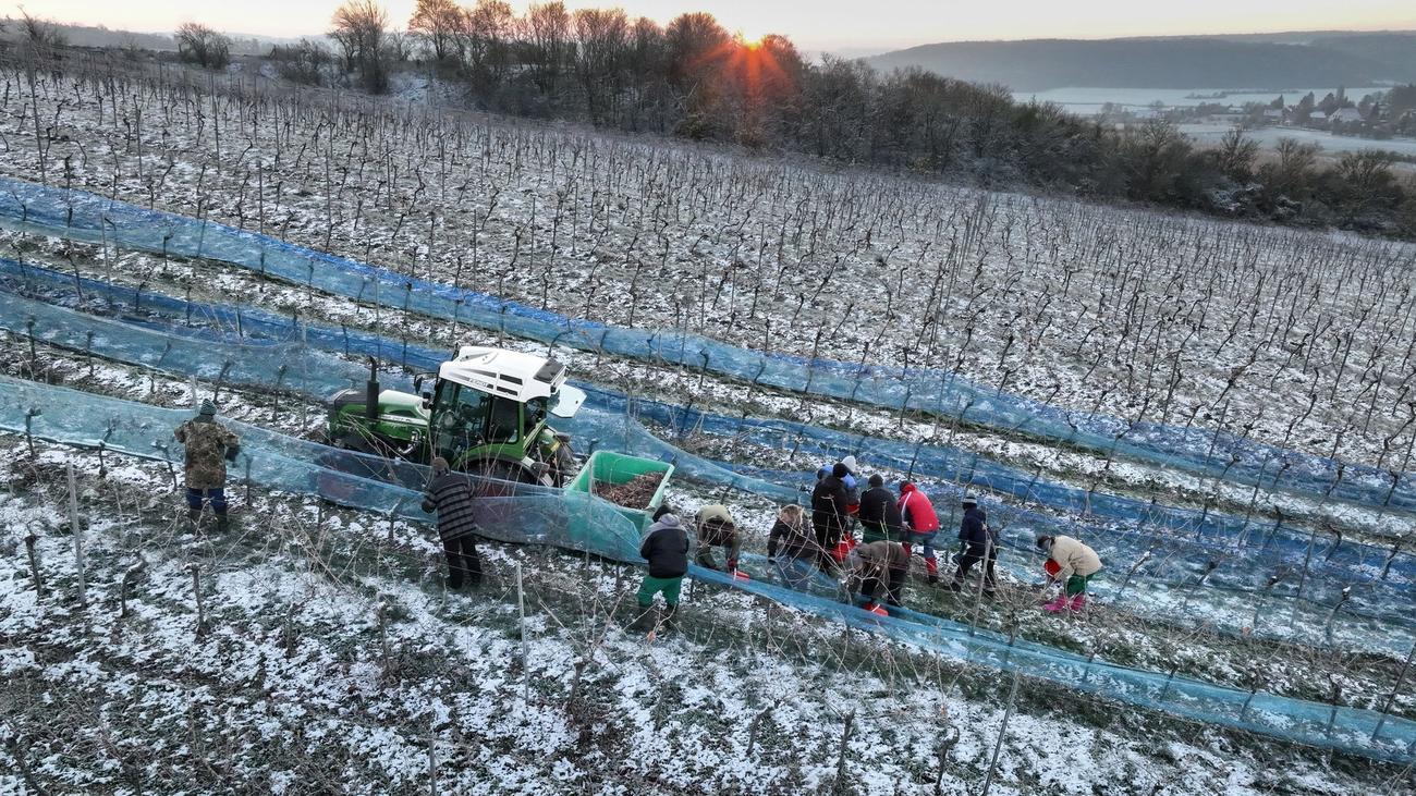 Wetter Wintereinbruch bringt dichte Schneedecke nach SachsenAnhalt ZEIT ONLINE