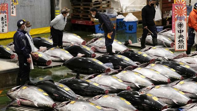 Neujahrsauktion: Thunfisch in Tokio erzielt 259.000 Euro
