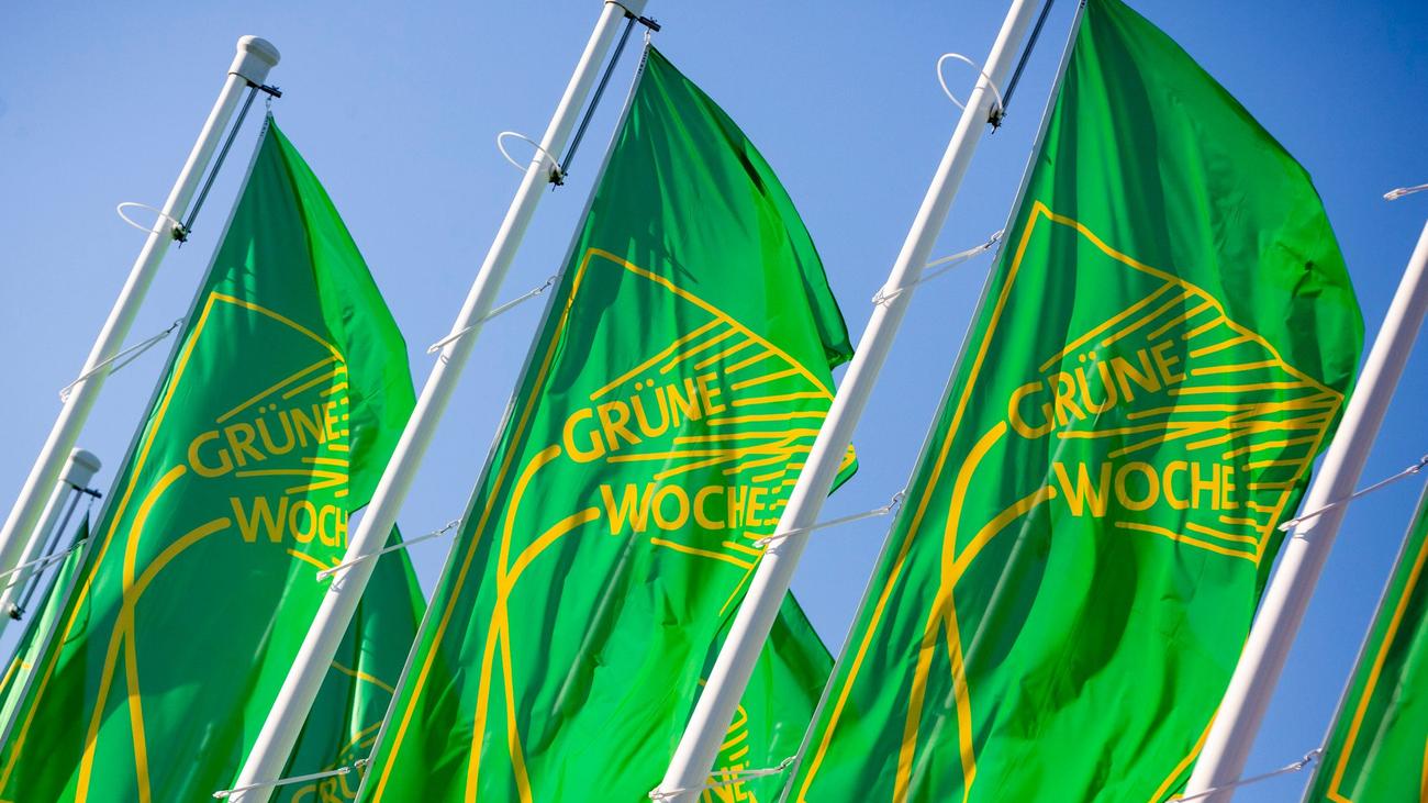 Agrarmesse: 60 Aussteller aus MV bei Neustart der Grünen Woche in ...