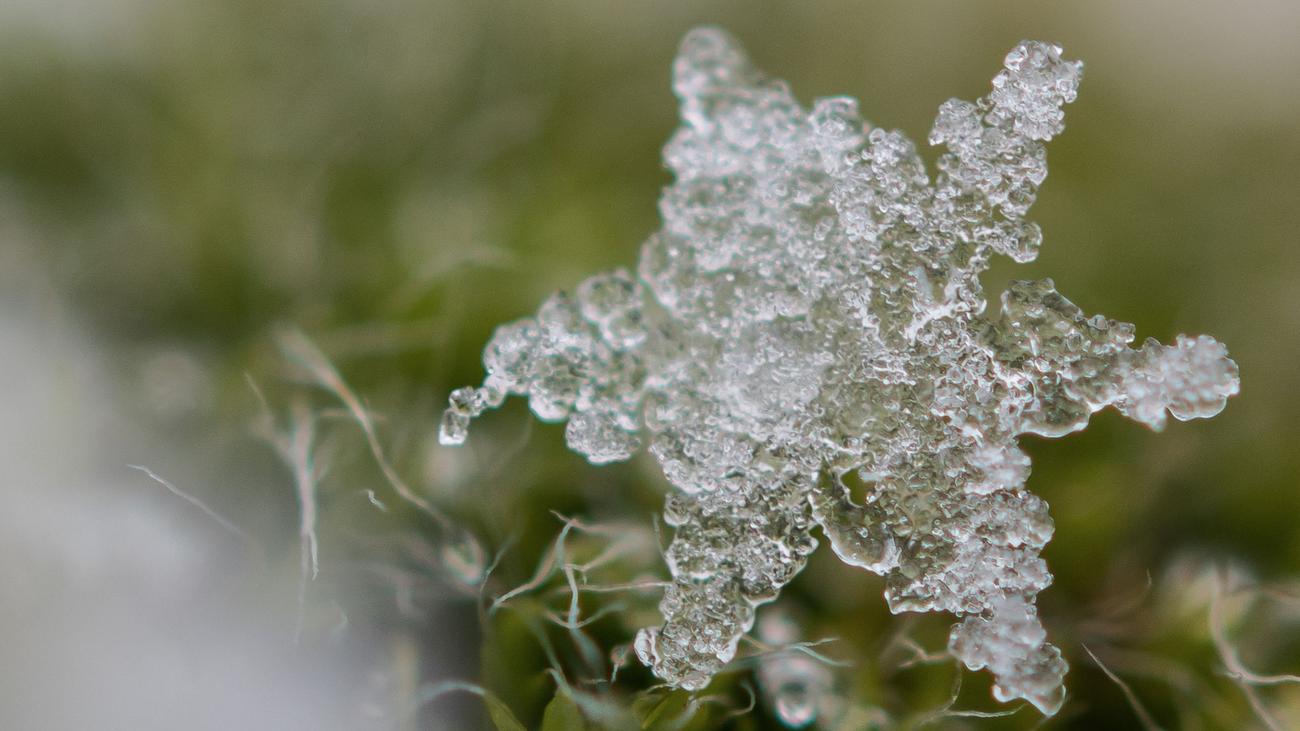 Wetter: Schnee Und Glätte In Rheinland-Pfalz Und Im Saarland | ZEIT ONLINE