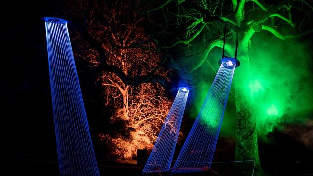 Freizeit: Lichtkünstler taucht Essener Grugapark in viele Farben