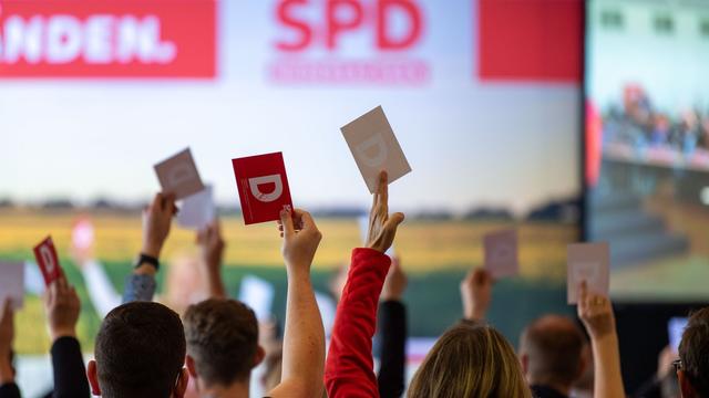 Parteien: SPD verliert Mitglieder im Wahljahr - AfD legt leicht zu