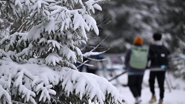 Wetter: Im Thüringer Wald oft Wintersport gut möglich