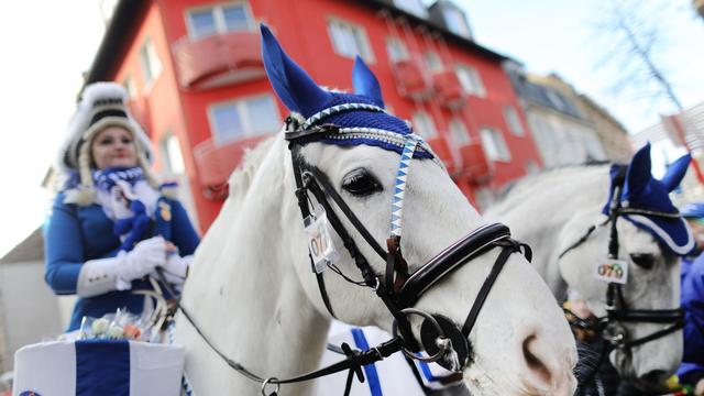 Düsseldorf: Neuerung im Rosenmontagszug: Alle Pferde an der Spitze
