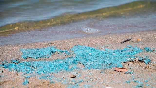 Cyanobakterien: Geoforschung: Menschen treiben Blaualgen-Wachstum an 