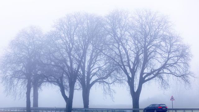 Deutscher Wetterdienst: Frostige Temperaturen und teilweise Nebel im Norden erwartet