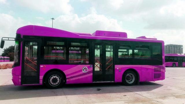 Sicherheit: Pakistan führt erste Buslinien für Frauen ein 